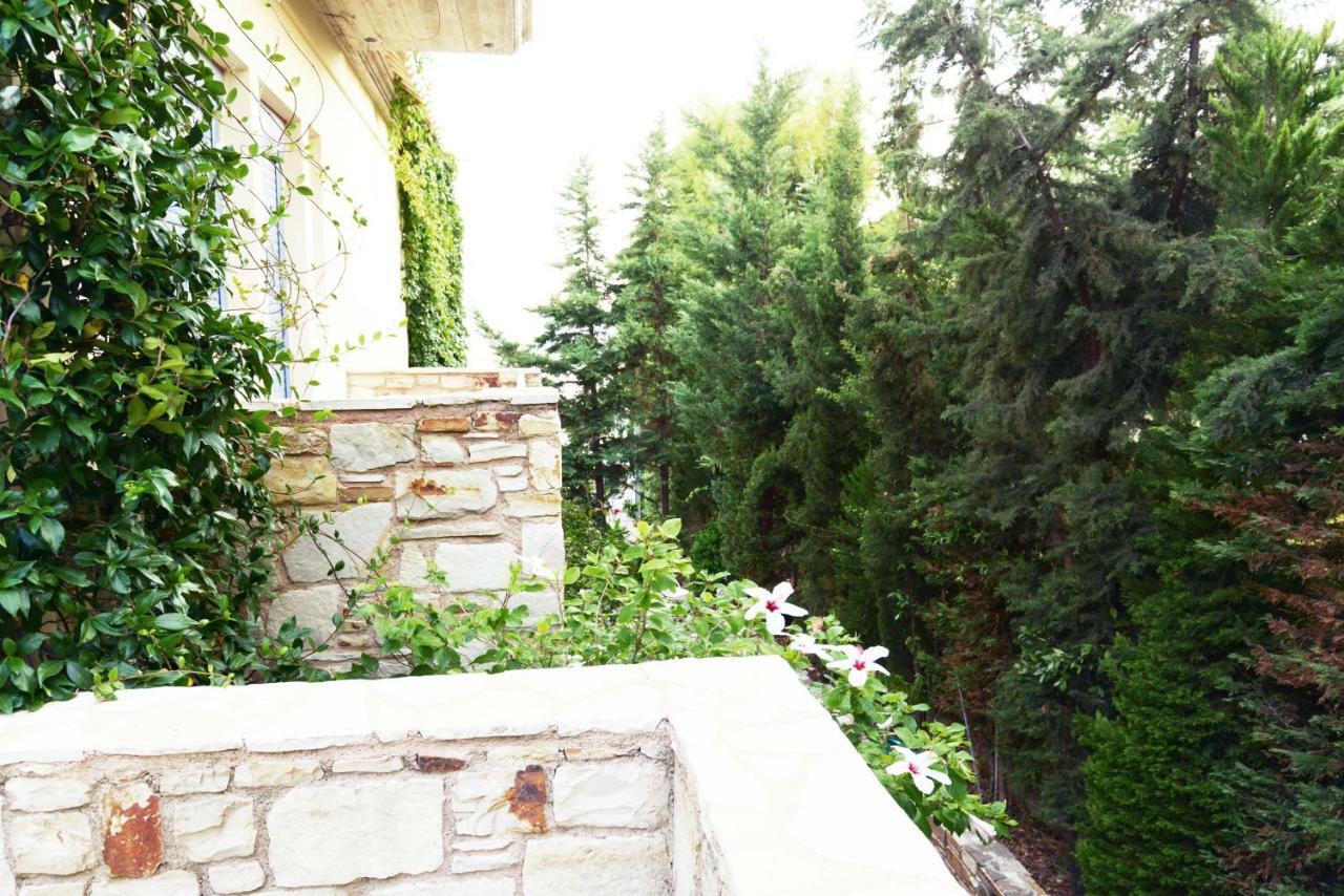 Blueline Guesthouse Agios Dimitrios  Номер фото