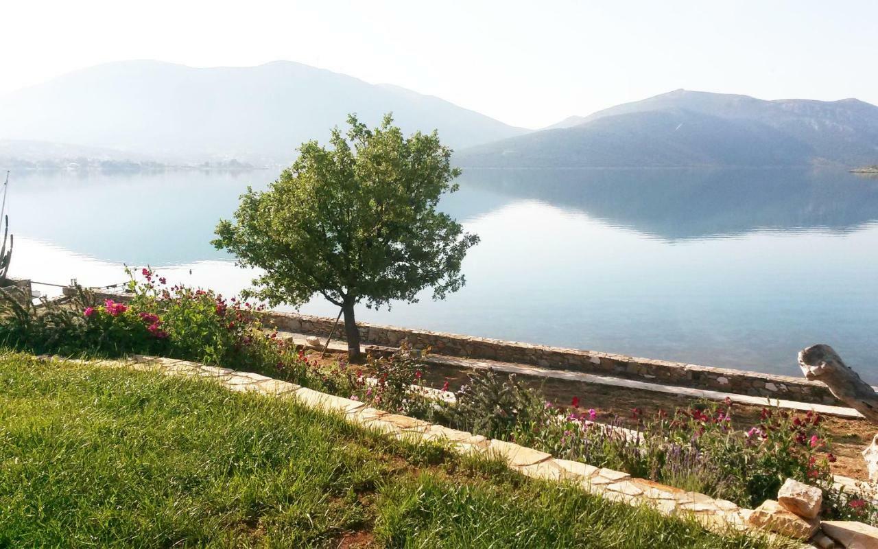 Blueline Guesthouse Agios Dimitrios  Екстер'єр фото